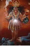 Kali2.jpg